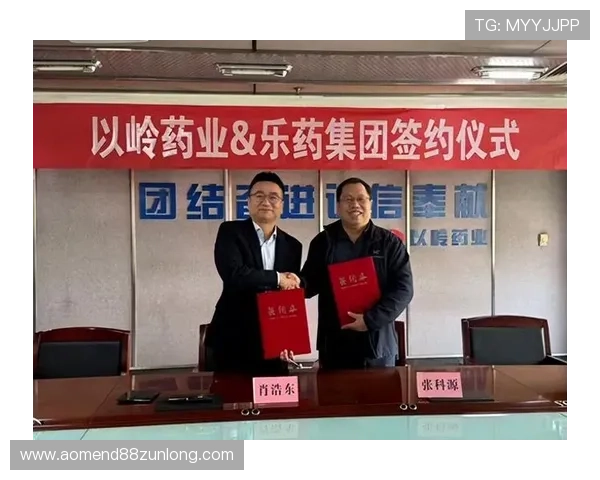 尊龙凯官方网站多渠道登录方式详解方便用户随时随地访问平台