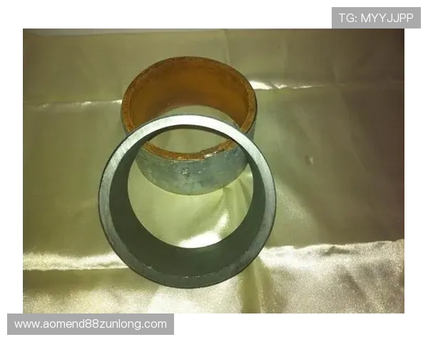 d88尊龙z6游戏最新版本更新内容详解，带你了解新功能、新玩法和优化措施