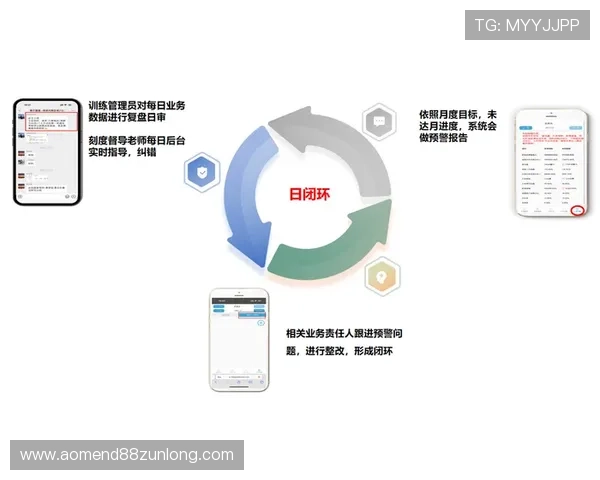 d88官网会员登录流程详细步骤及常见问题解决方案全方位指导