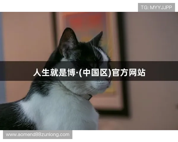 尊龙人生就是博官网带你领略精彩纷呈的线上娱乐世界体验